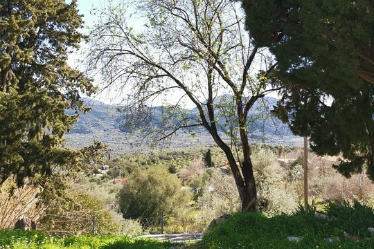 Tour image 1