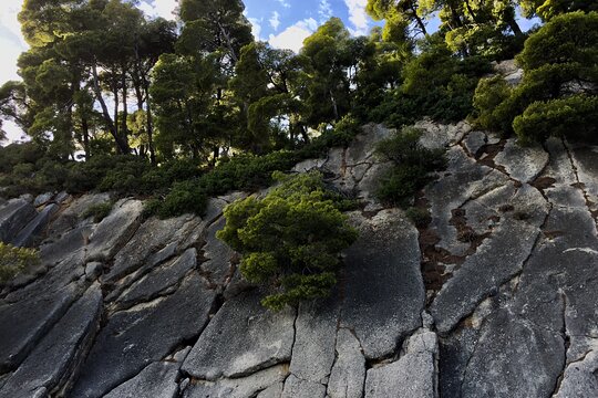 Tour image 14