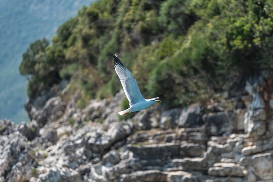 Tour image 10