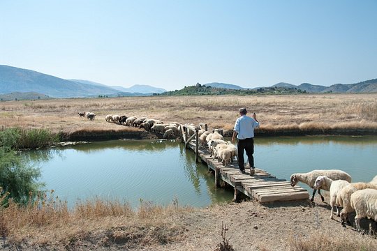 Tour image 1